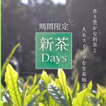 新茶Days2024
